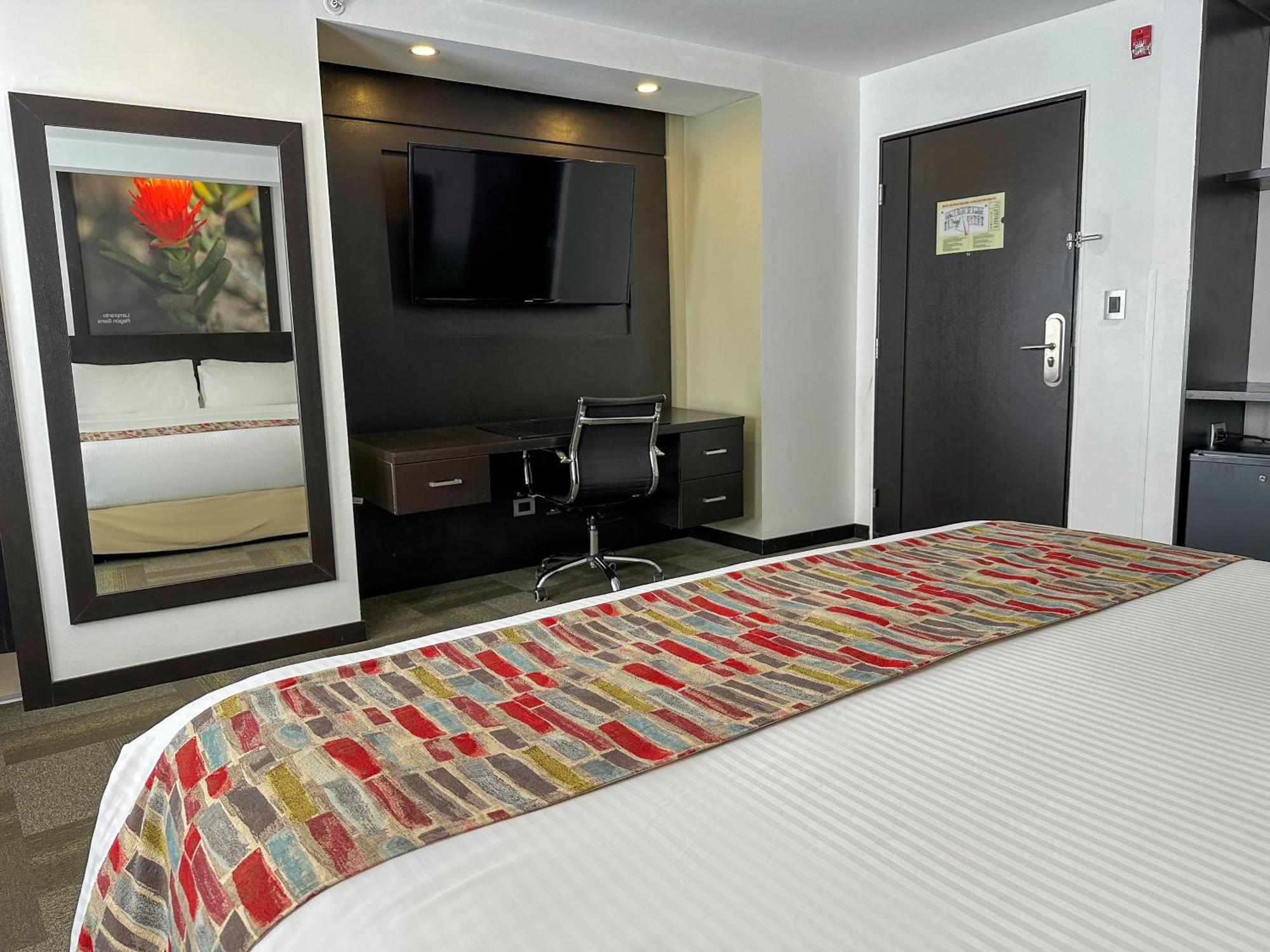 Wyndham Quito Airport Hotel Puembo Exterior foto A typical room at the hotel